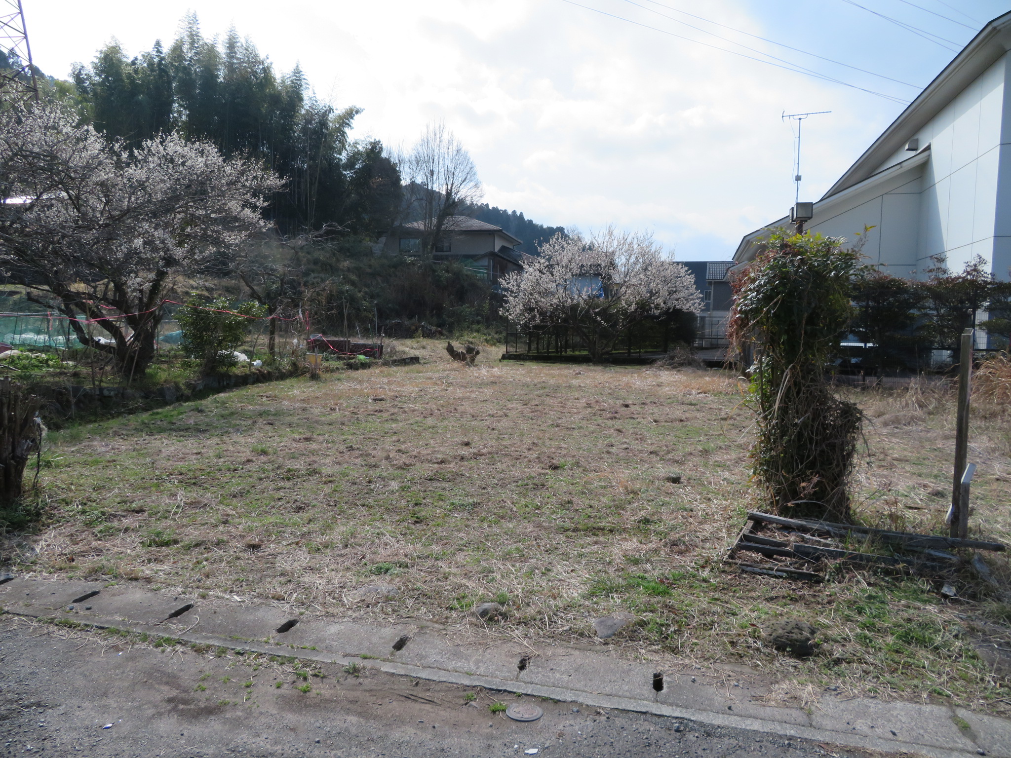 上城内売地