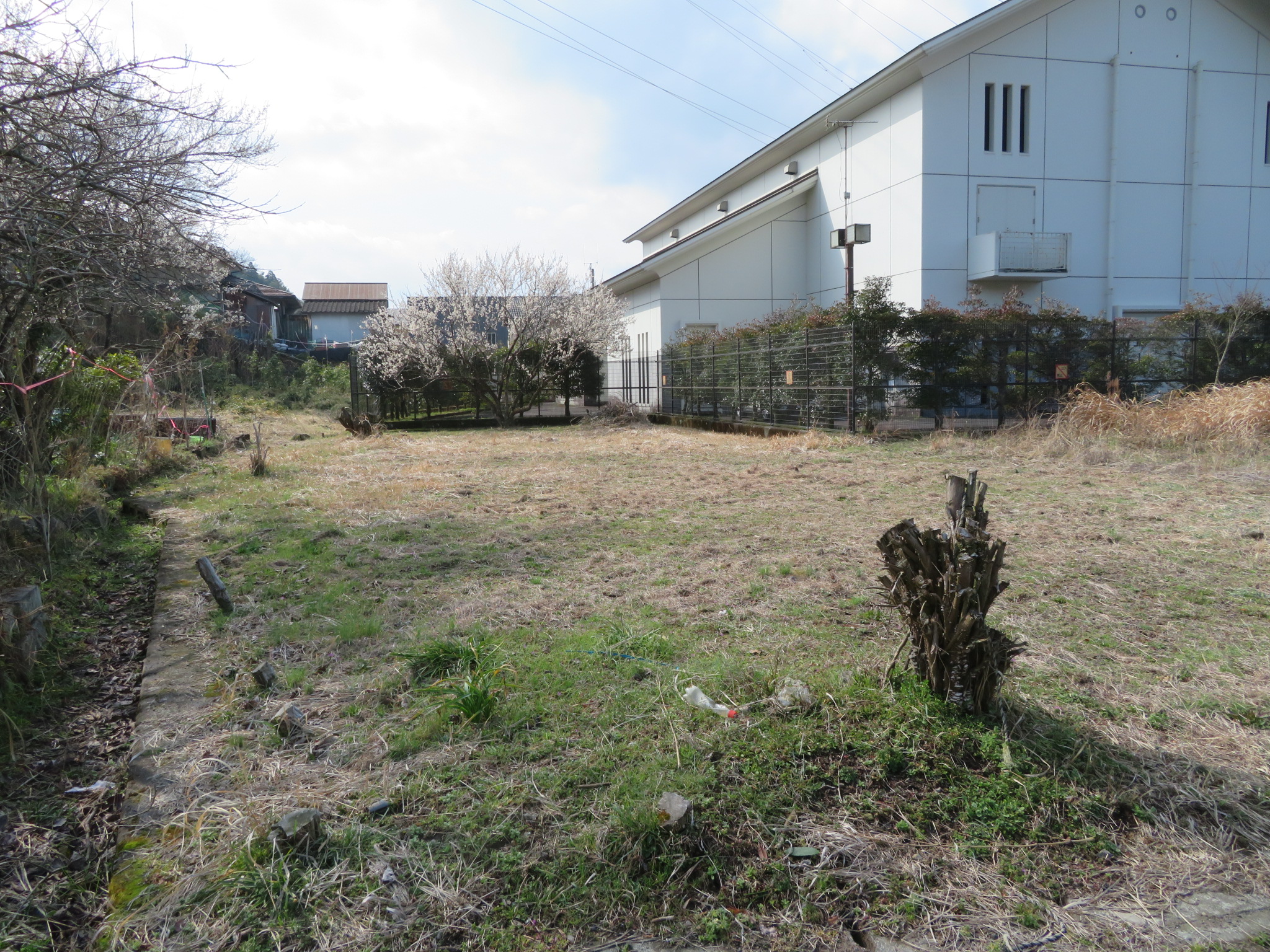 上城内売地